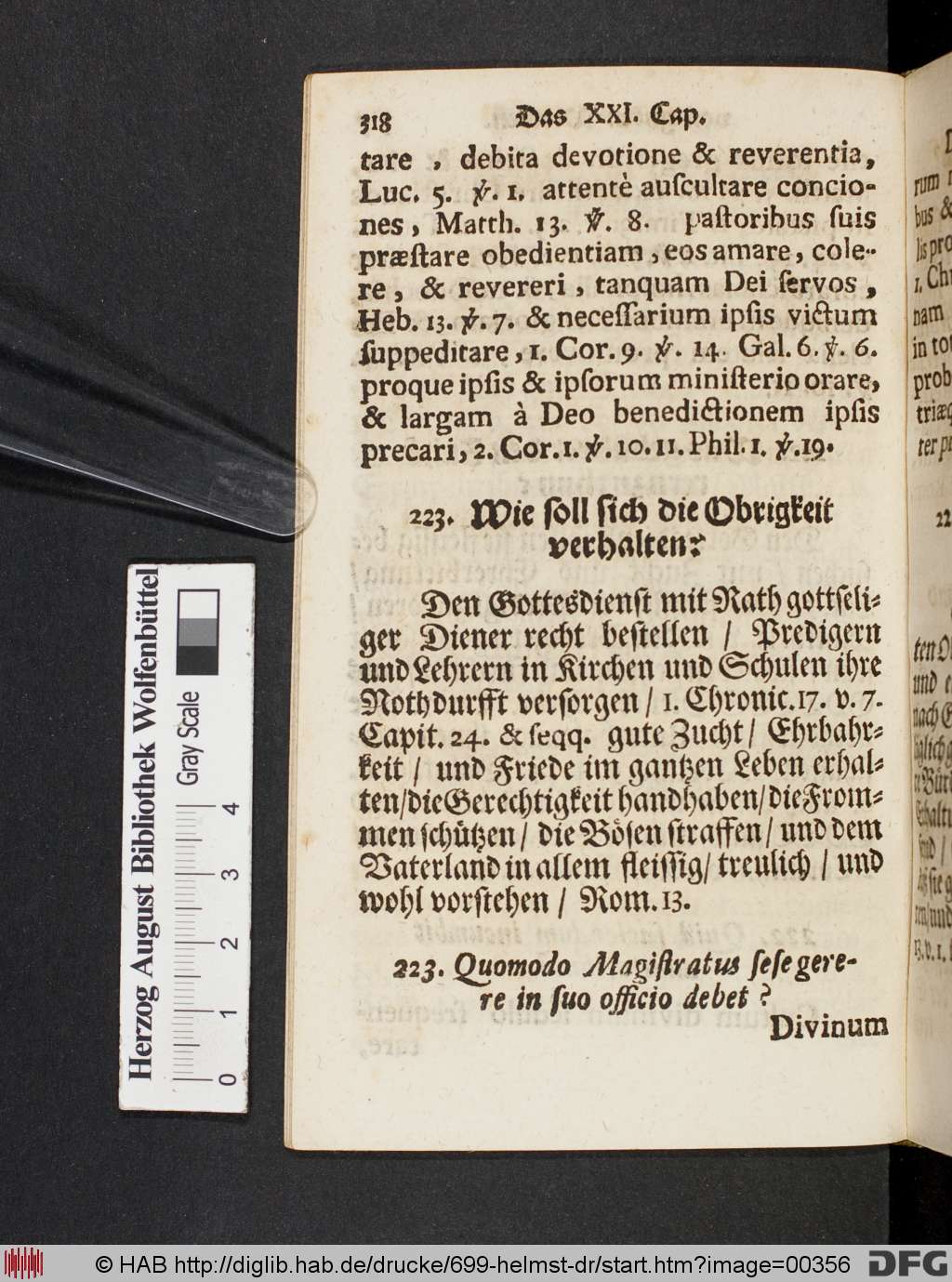 http://diglib.hab.de/drucke/699-helmst-dr/00356.jpg