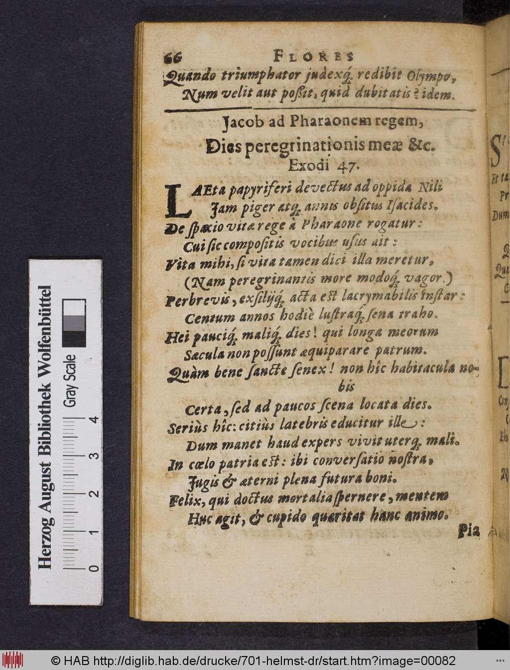 http://diglib.hab.de/drucke/701-helmst-dr/00082.jpg