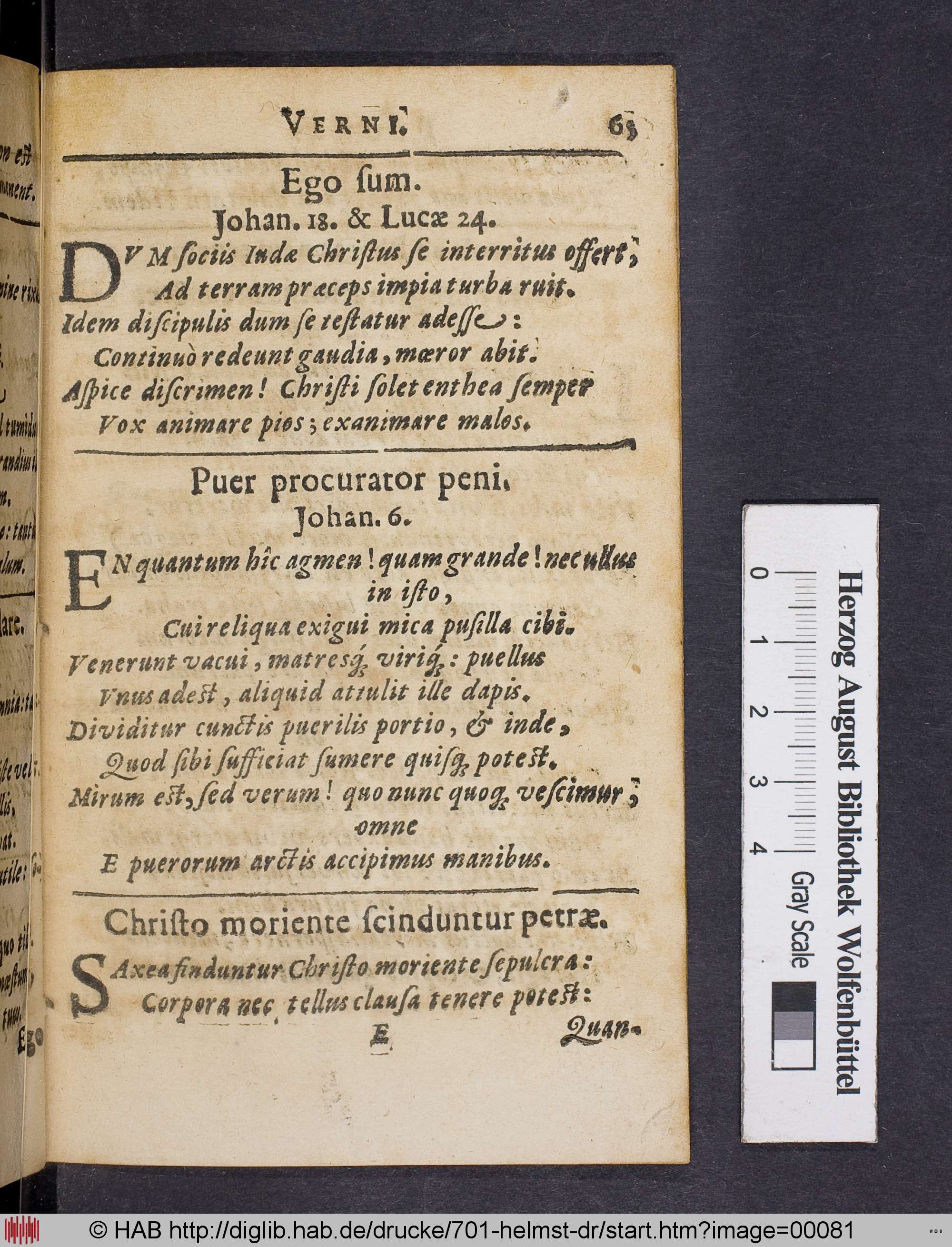 http://diglib.hab.de/drucke/701-helmst-dr/max/00081.jpg