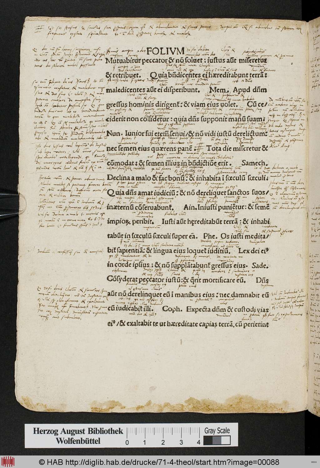 http://diglib.hab.de/drucke/71-4-theol/00088.jpg