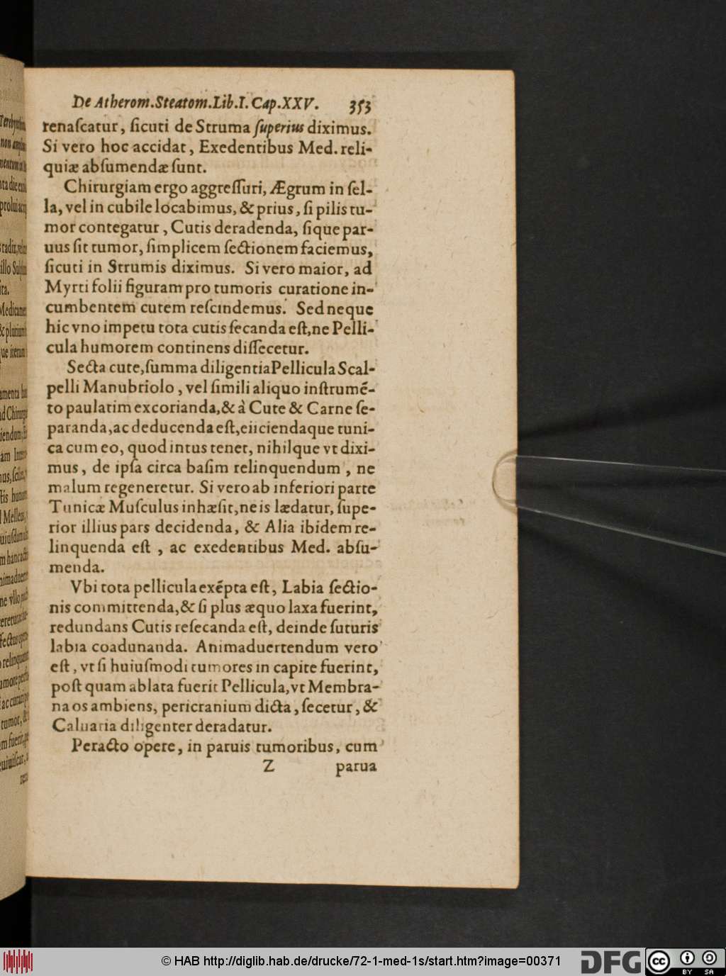http://diglib.hab.de/drucke/72-1-med-1s/00371.jpg