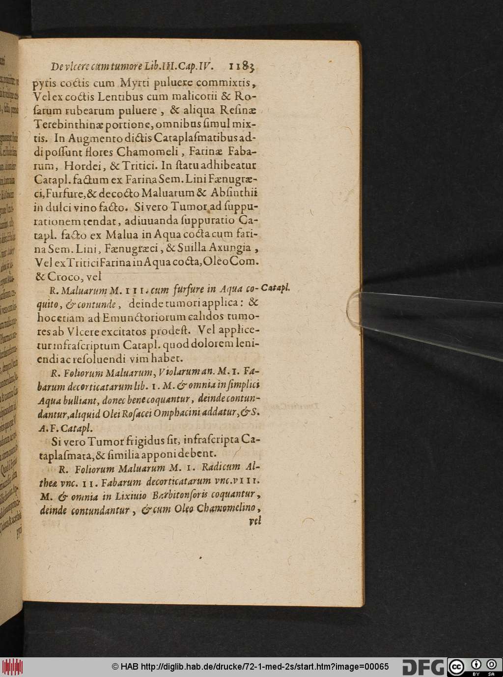 http://diglib.hab.de/drucke/72-1-med-2s/00065.jpg