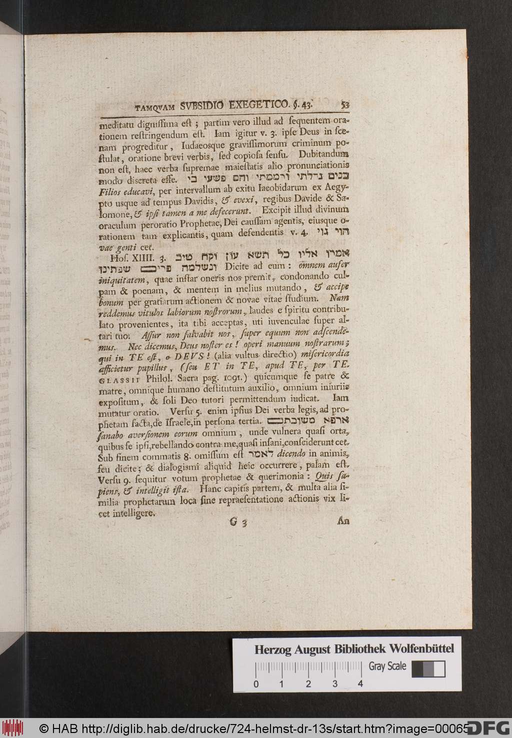 http://diglib.hab.de/drucke/724-helmst-dr-13s/00065.jpg