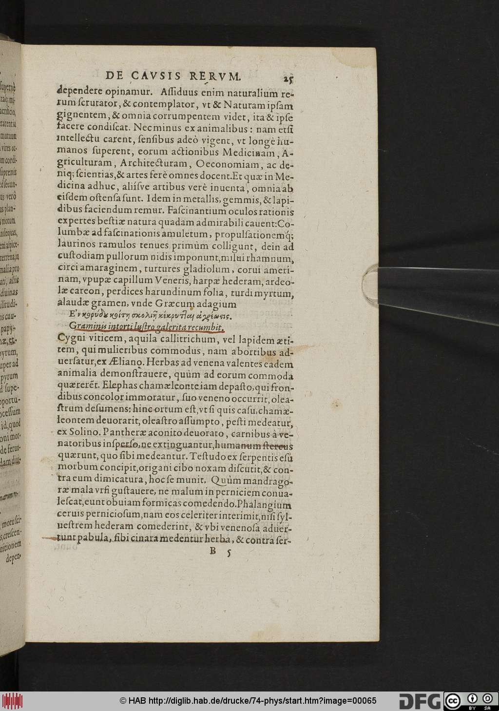 http://diglib.hab.de/drucke/74-phys/00065.jpg