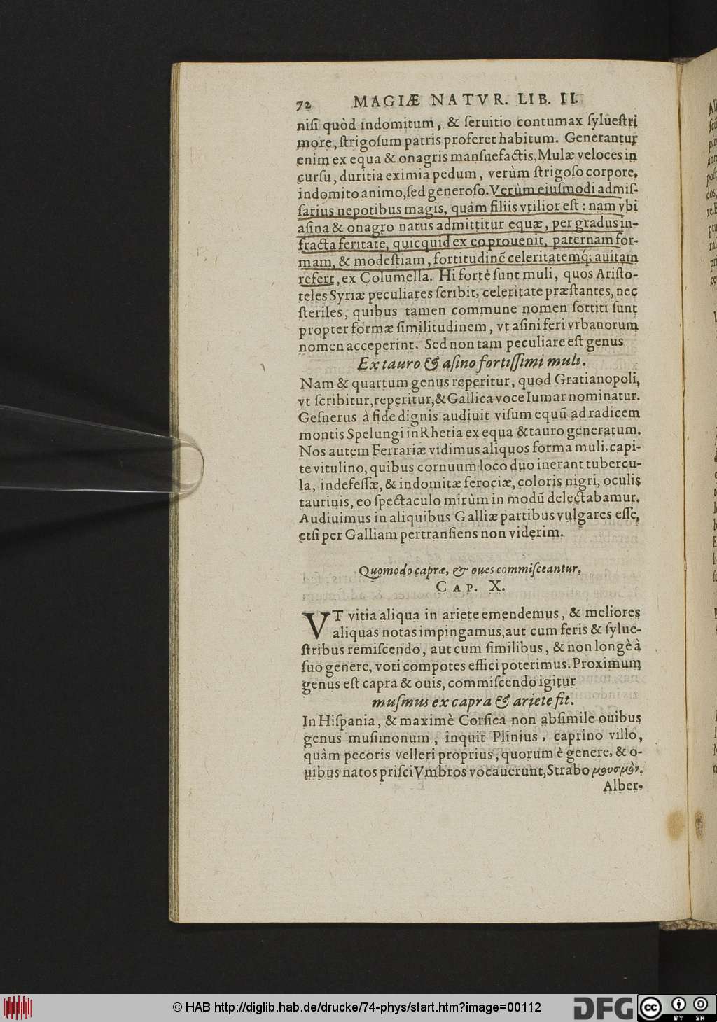 http://diglib.hab.de/drucke/74-phys/00112.jpg