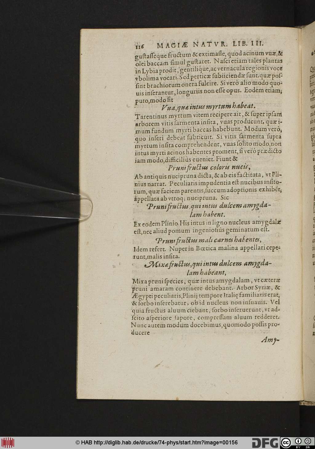 http://diglib.hab.de/drucke/74-phys/00156.jpg