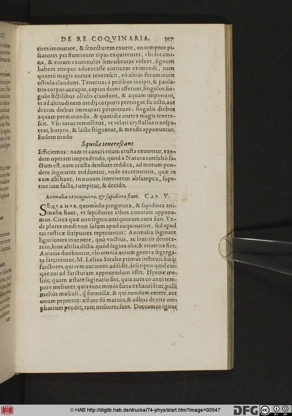 http://diglib.hab.de/drucke/74-phys/00547.jpg