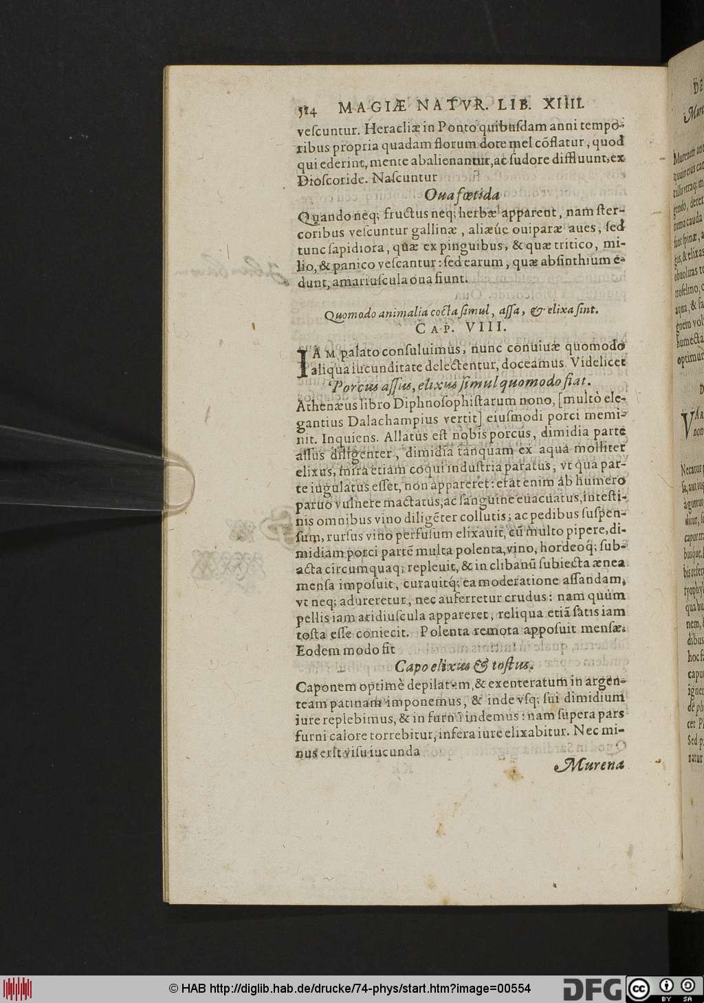 http://diglib.hab.de/drucke/74-phys/00554.jpg