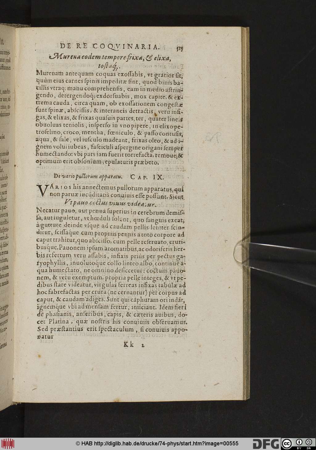 http://diglib.hab.de/drucke/74-phys/00555.jpg