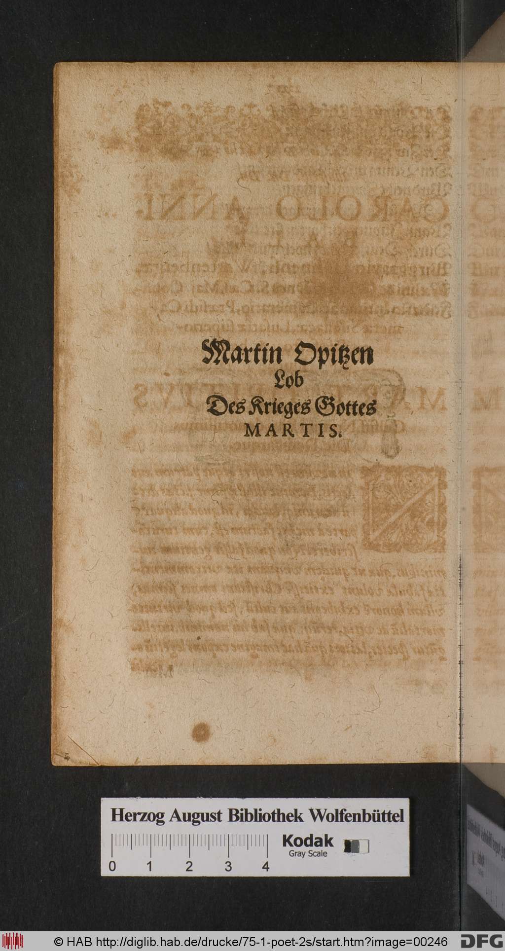 http://diglib.hab.de/drucke/75-1-poet-2s/00246.jpg