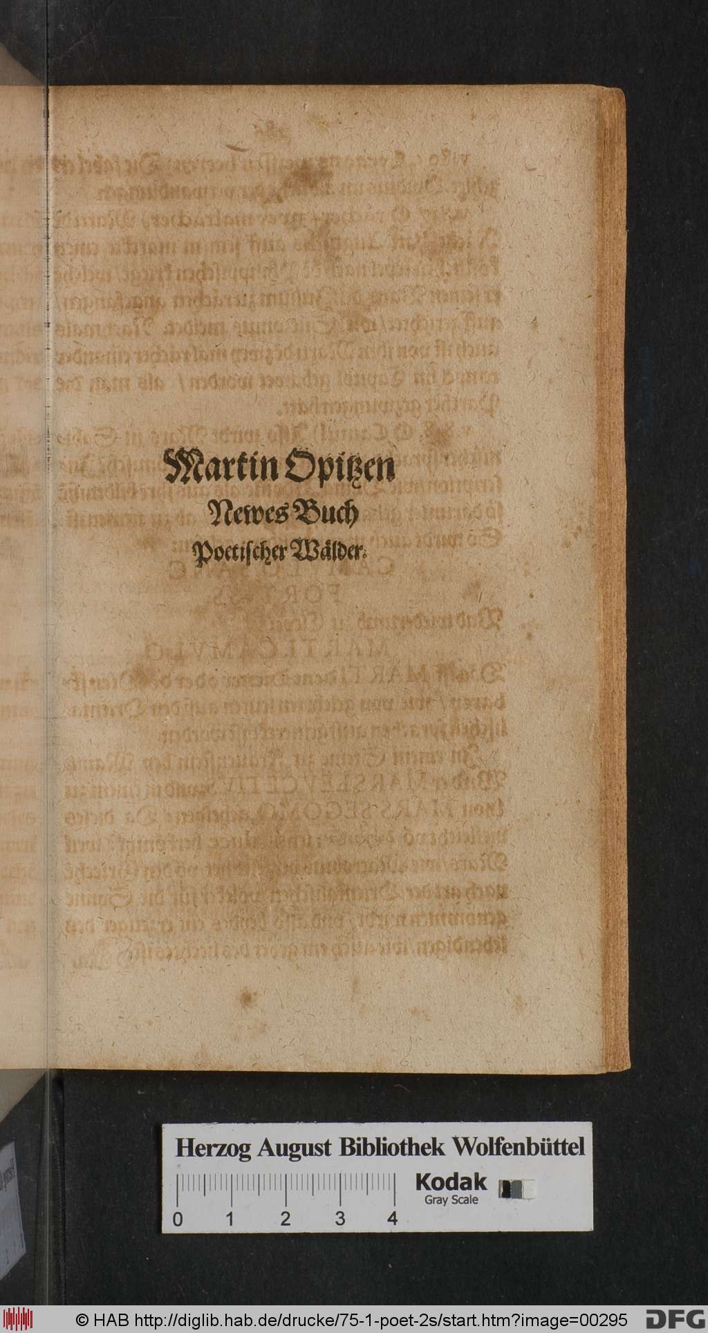 http://diglib.hab.de/drucke/75-1-poet-2s/00295.jpg