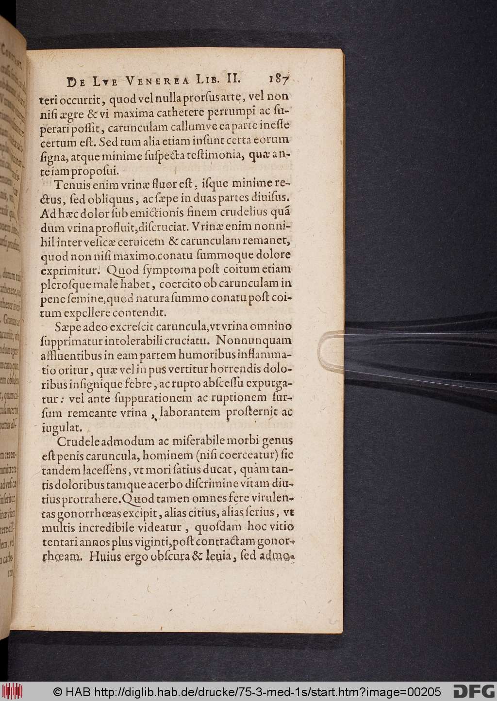 http://diglib.hab.de/drucke/75-3-med-1s/00205.jpg