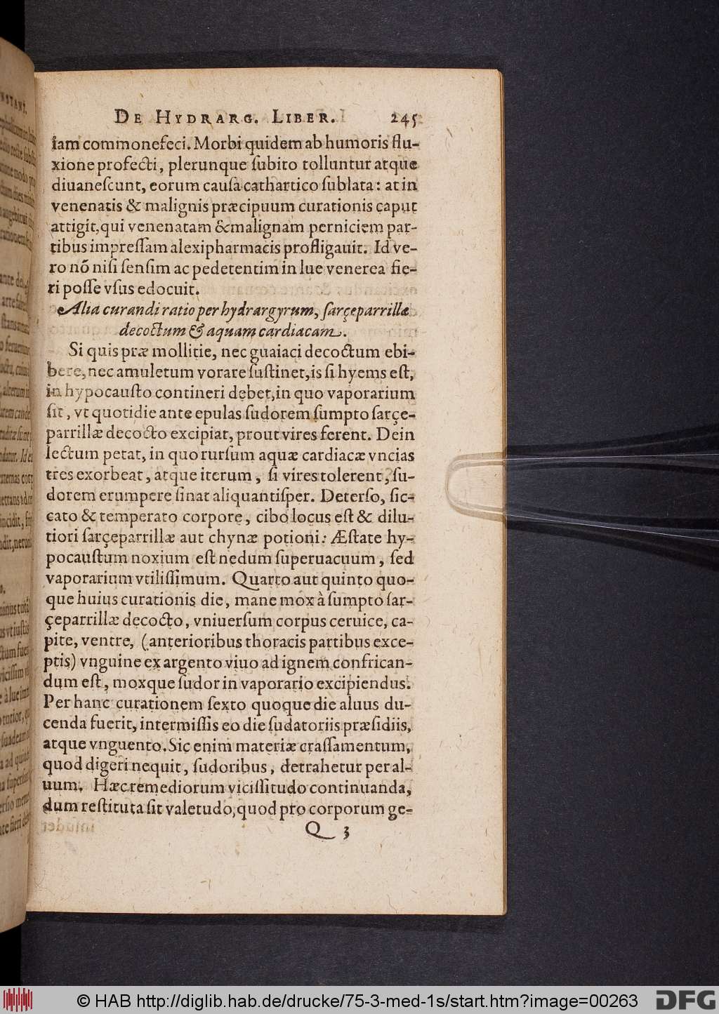 http://diglib.hab.de/drucke/75-3-med-1s/00263.jpg