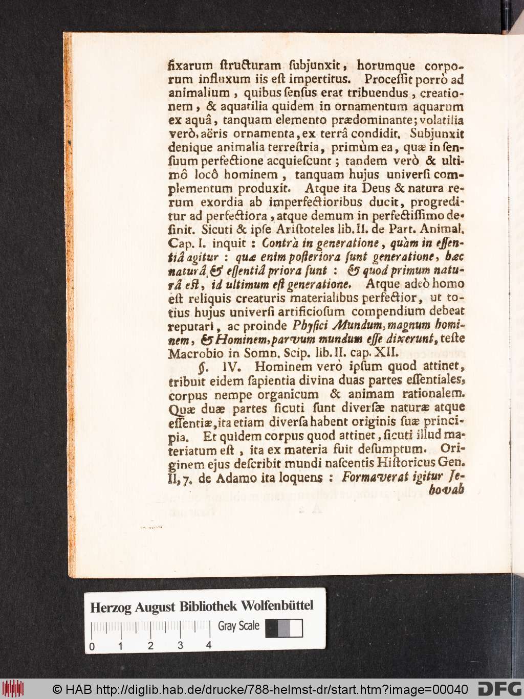 http://diglib.hab.de/drucke/788-helmst-dr/00040.jpg