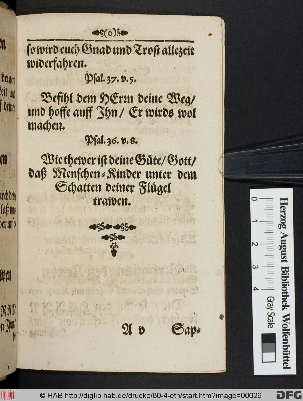 http://diglib.hab.de/drucke/80-4-eth/00029.jpg