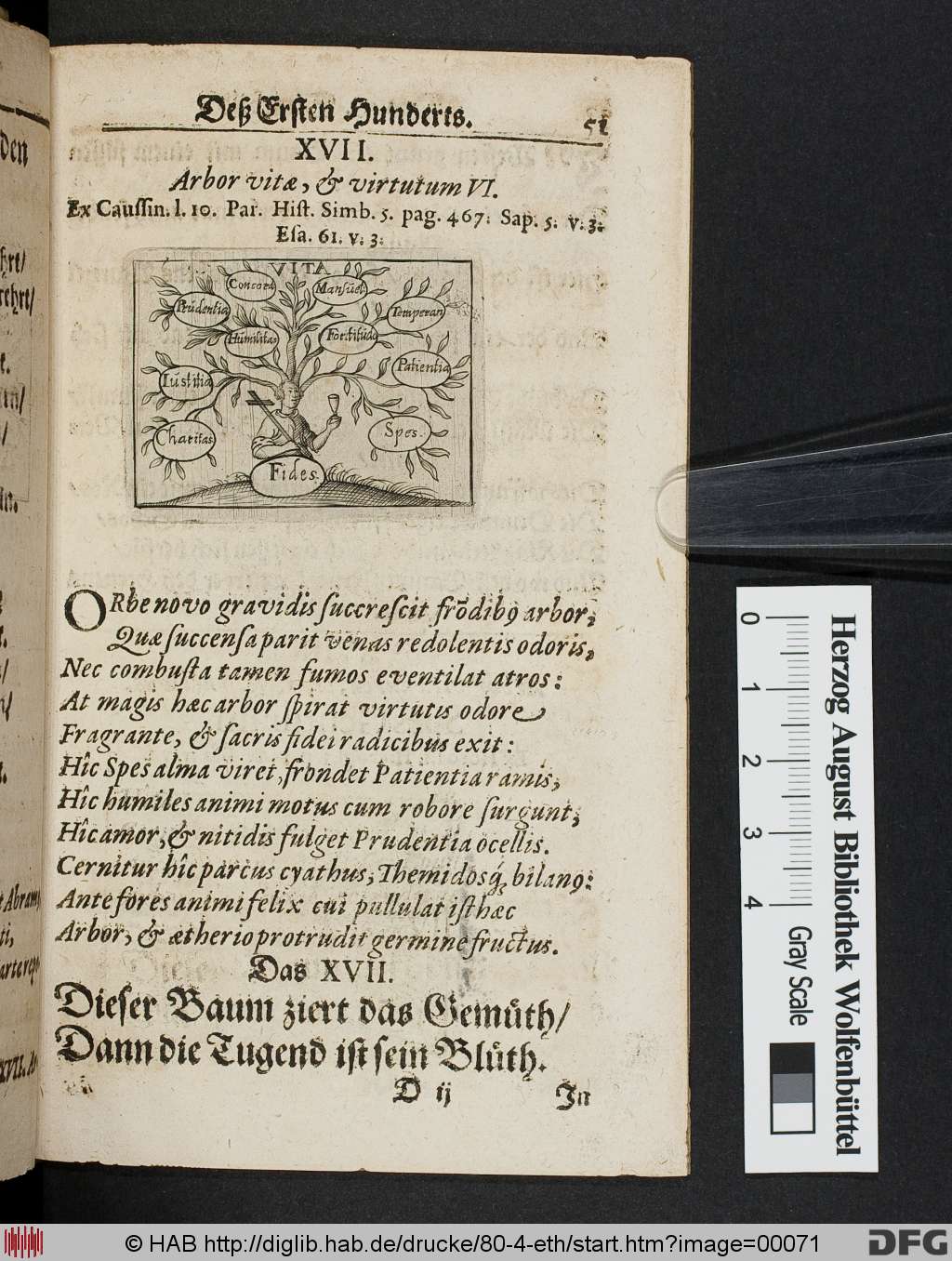 http://diglib.hab.de/drucke/80-4-eth/00071.jpg