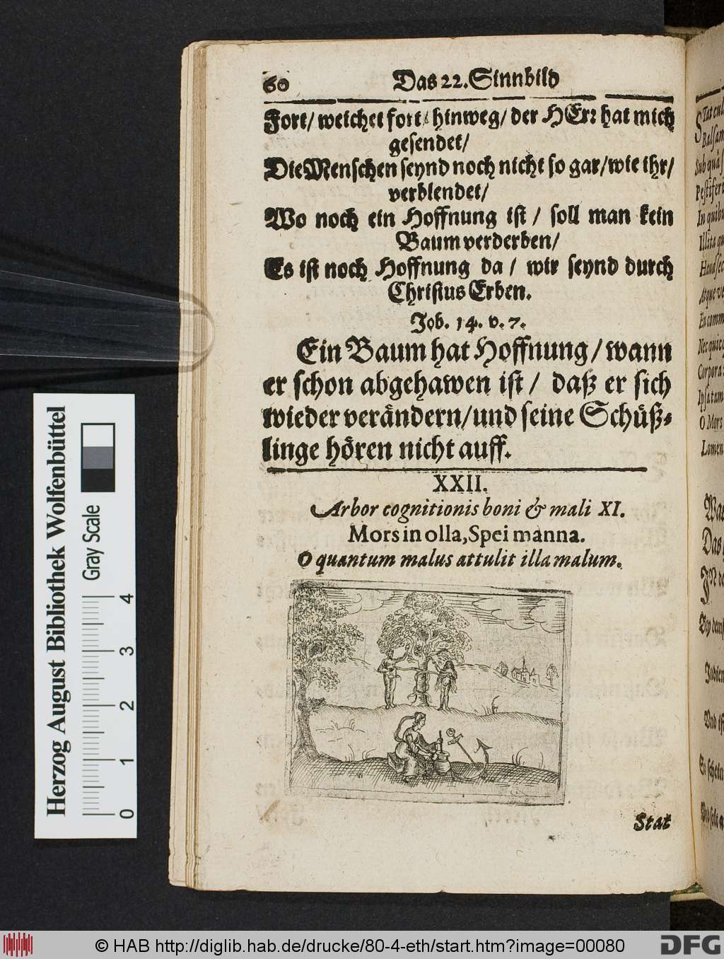 http://diglib.hab.de/drucke/80-4-eth/00080.jpg