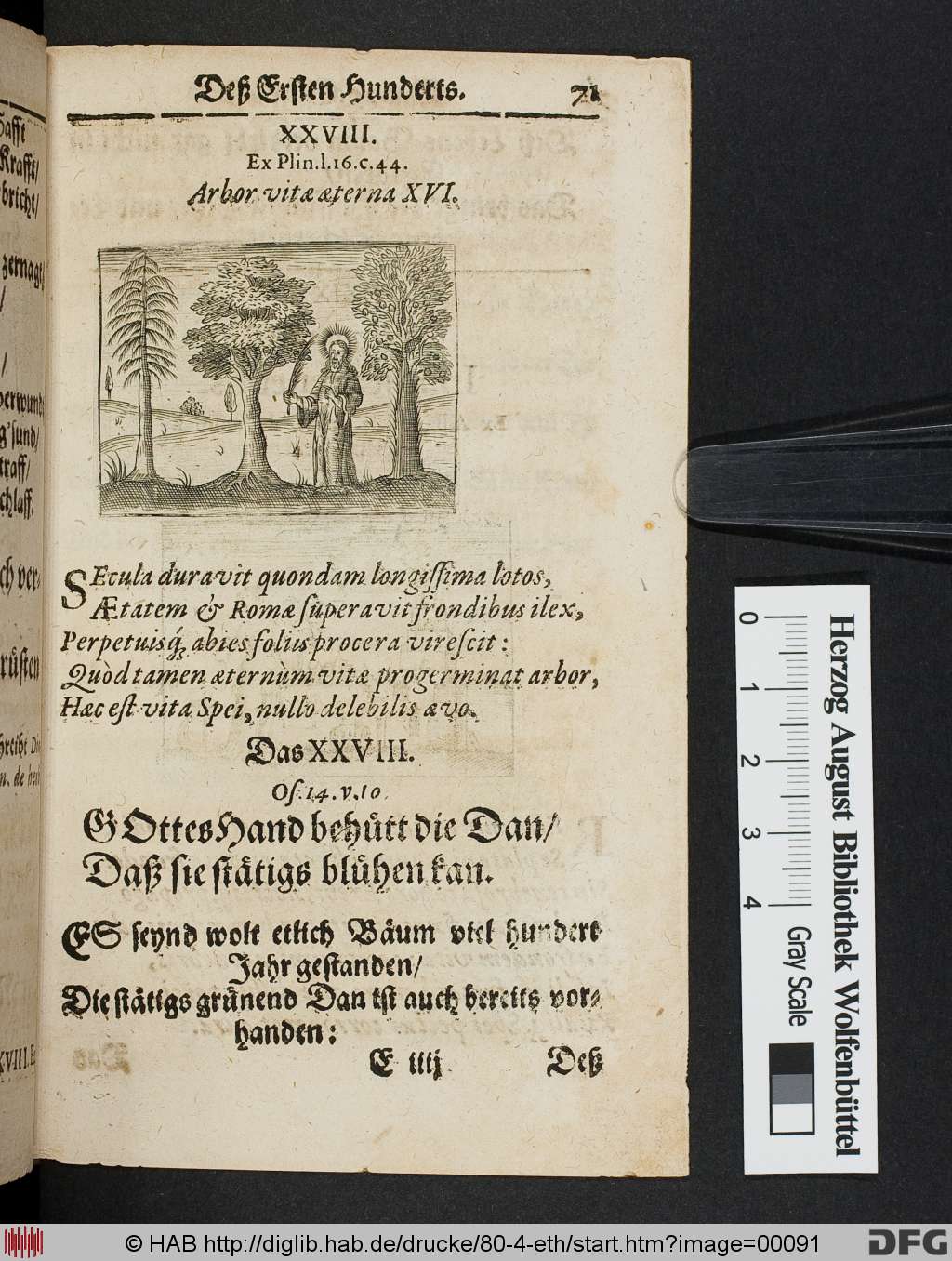 http://diglib.hab.de/drucke/80-4-eth/00091.jpg