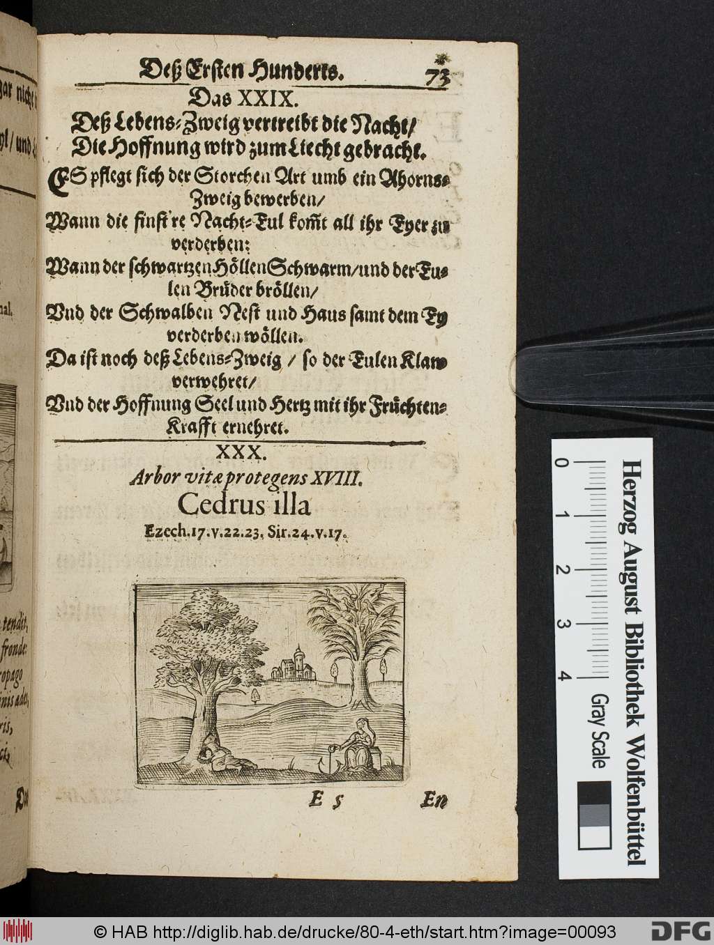 http://diglib.hab.de/drucke/80-4-eth/00093.jpg