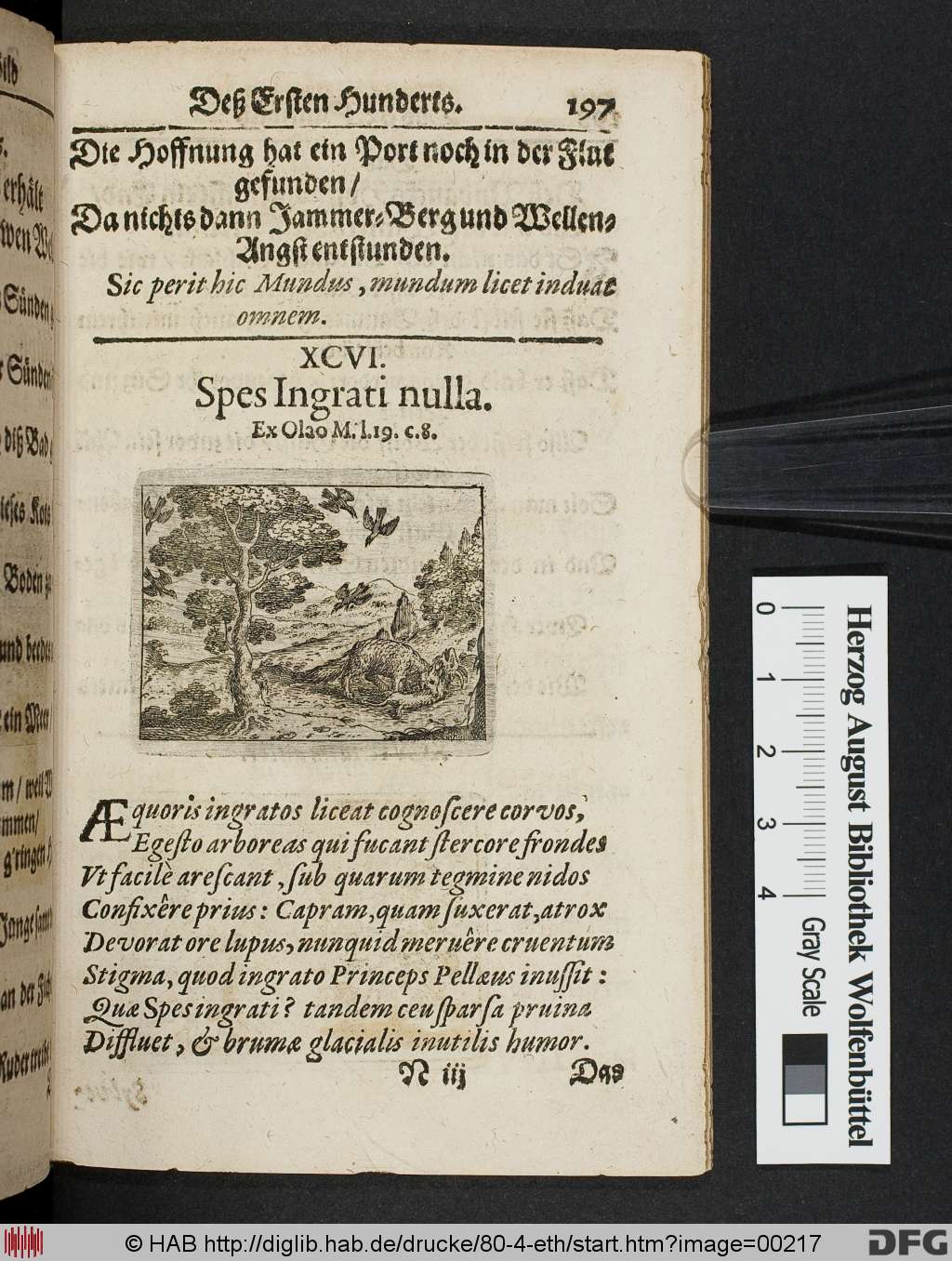 http://diglib.hab.de/drucke/80-4-eth/00217.jpg