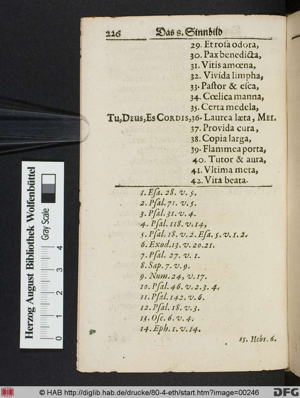 http://diglib.hab.de/drucke/80-4-eth/00246.jpg