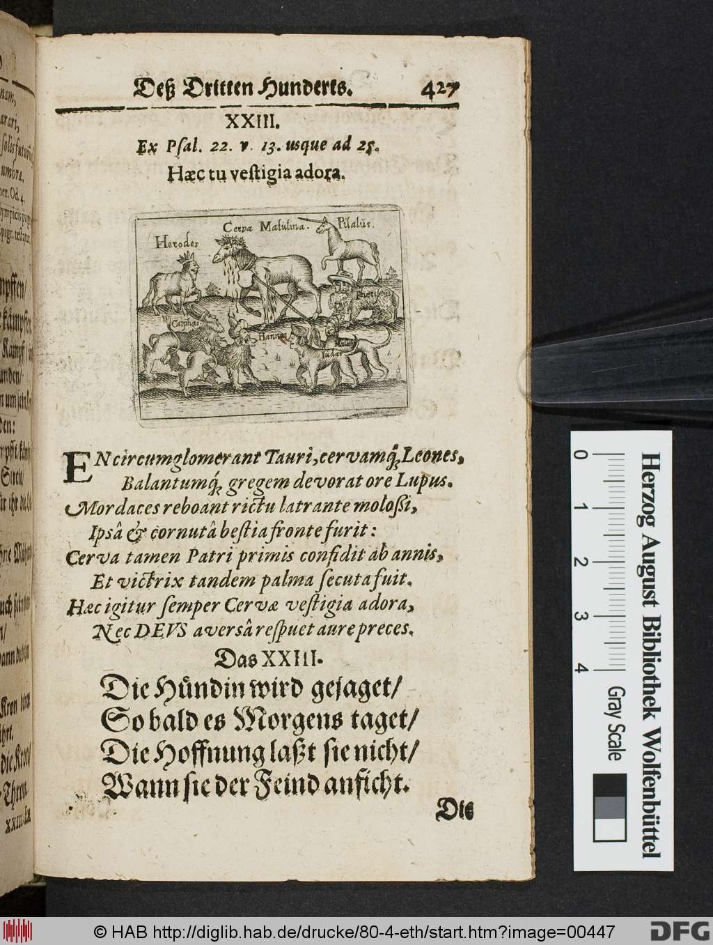 http://diglib.hab.de/drucke/80-4-eth/00447.jpg