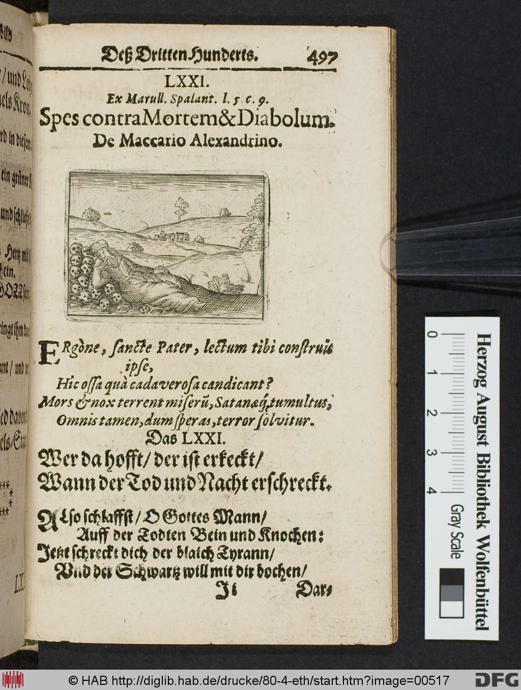 http://diglib.hab.de/drucke/80-4-eth/00517.jpg