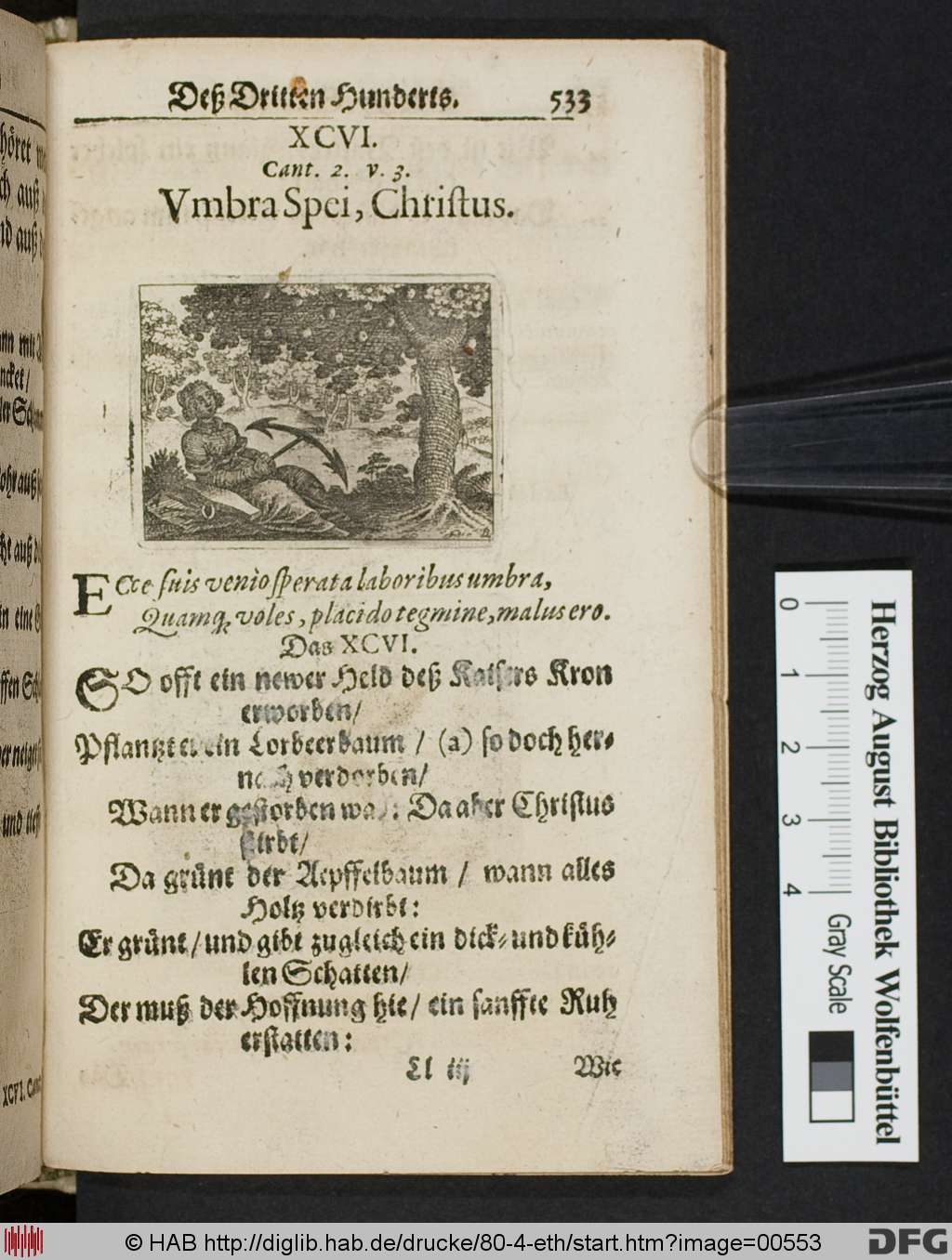 http://diglib.hab.de/drucke/80-4-eth/00553.jpg