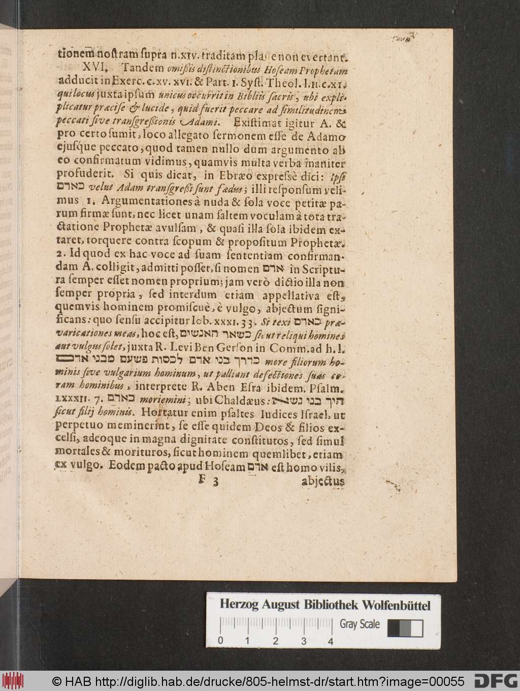 http://diglib.hab.de/drucke/805-helmst-dr/00055.jpg