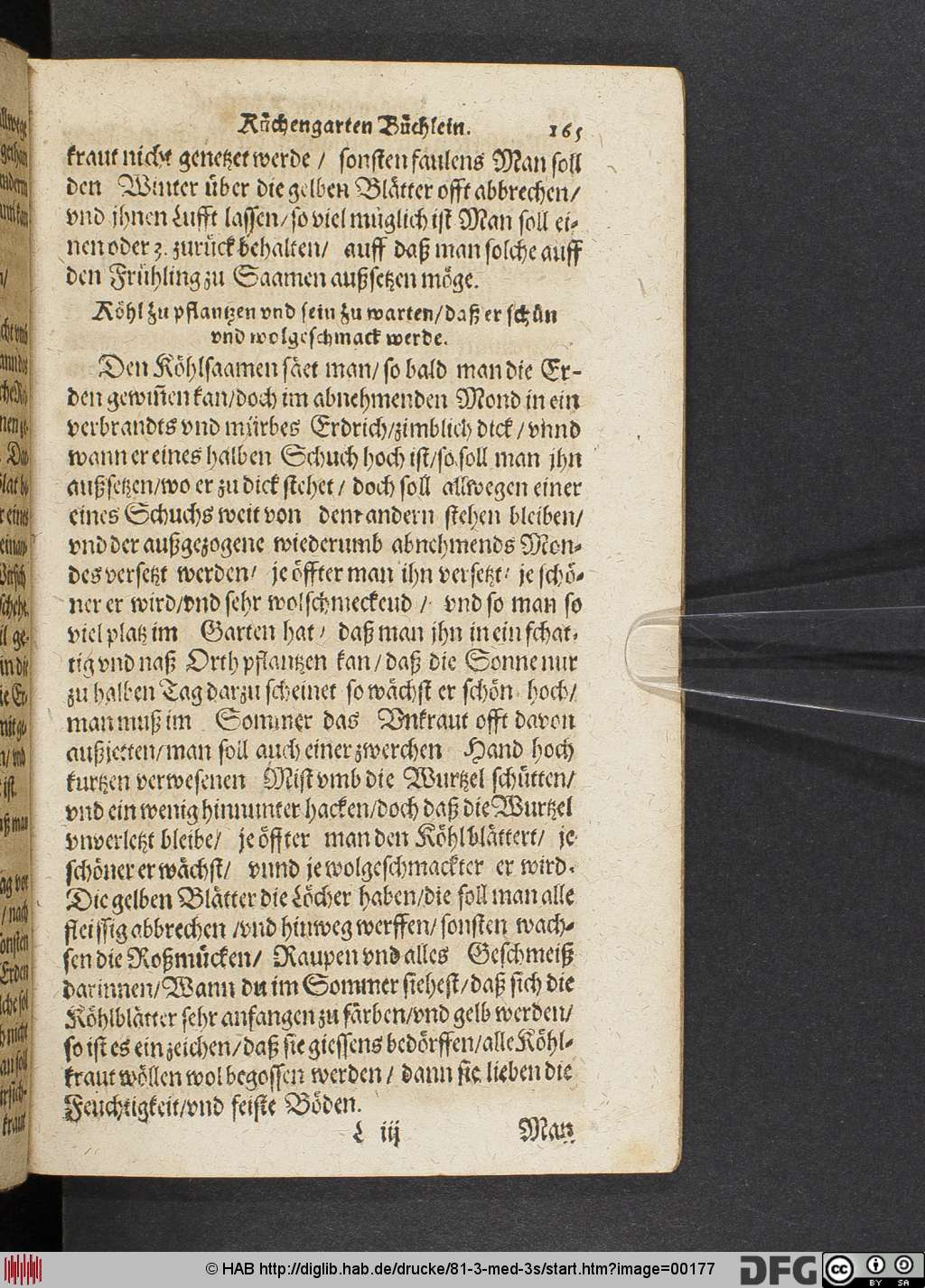http://diglib.hab.de/drucke/81-3-med-3s/00177.jpg
