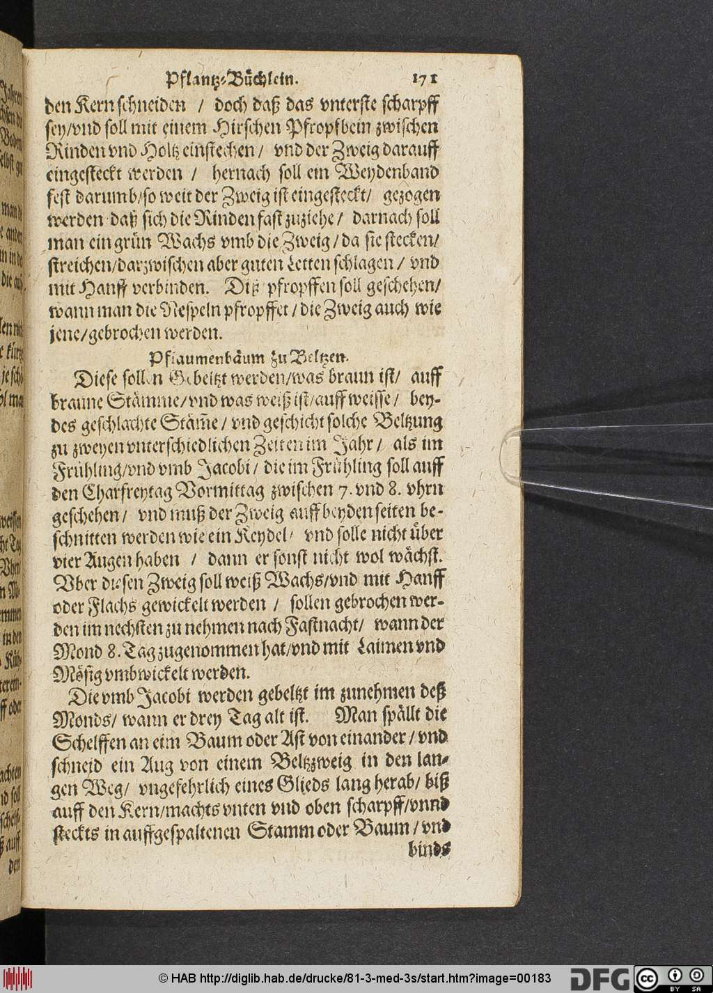 http://diglib.hab.de/drucke/81-3-med-3s/00183.jpg