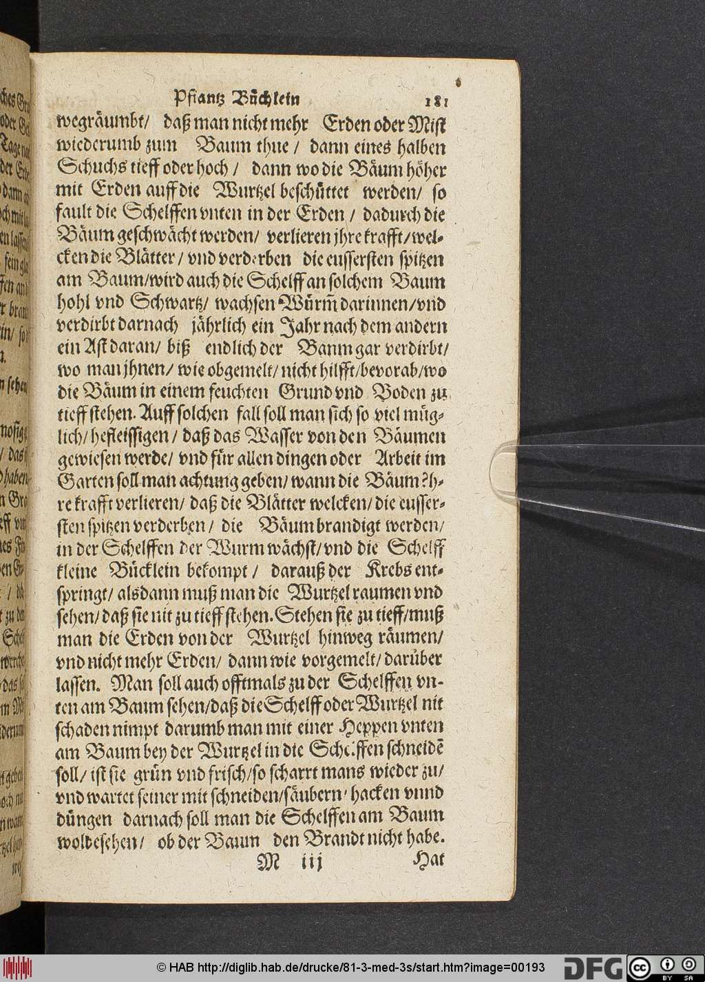 http://diglib.hab.de/drucke/81-3-med-3s/00193.jpg