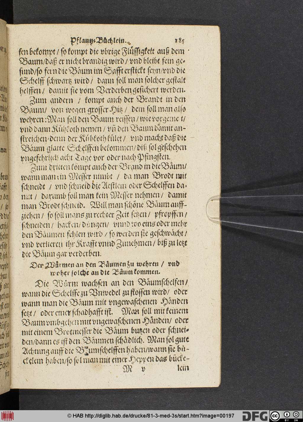 http://diglib.hab.de/drucke/81-3-med-3s/00197.jpg