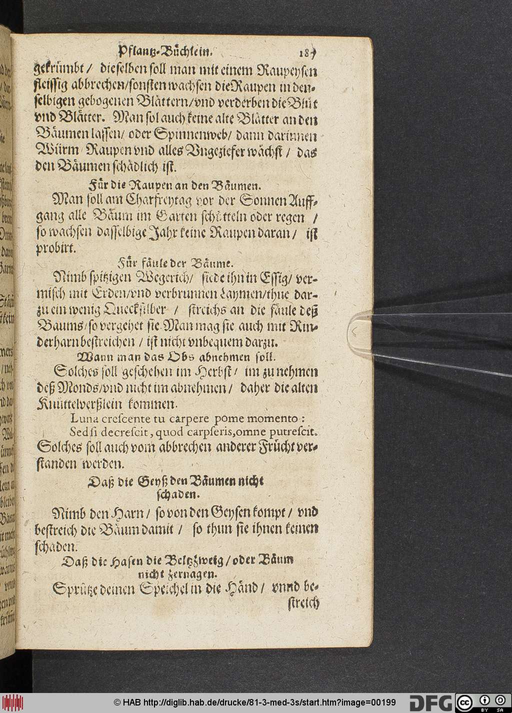 http://diglib.hab.de/drucke/81-3-med-3s/00199.jpg