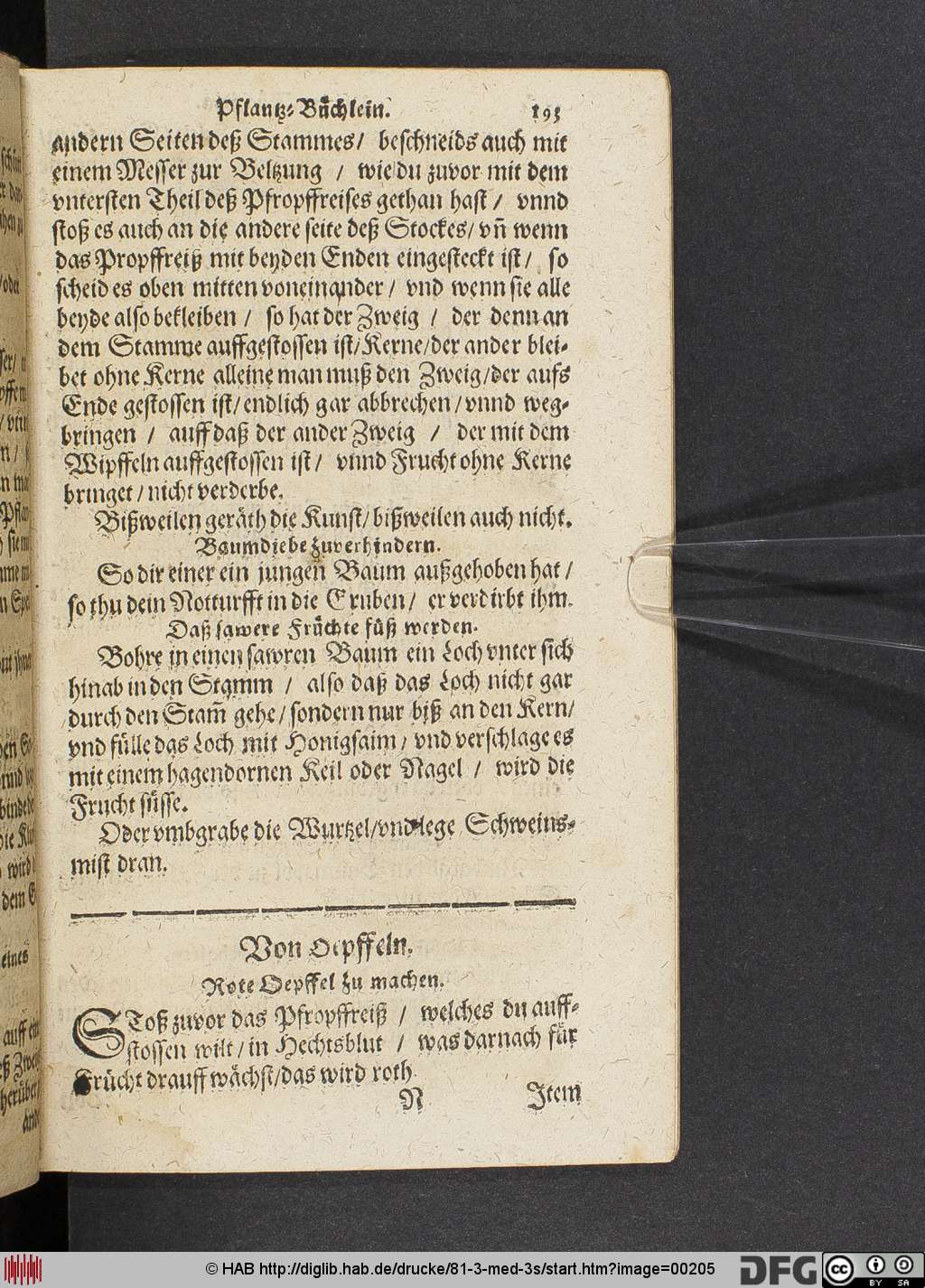 http://diglib.hab.de/drucke/81-3-med-3s/00205.jpg
