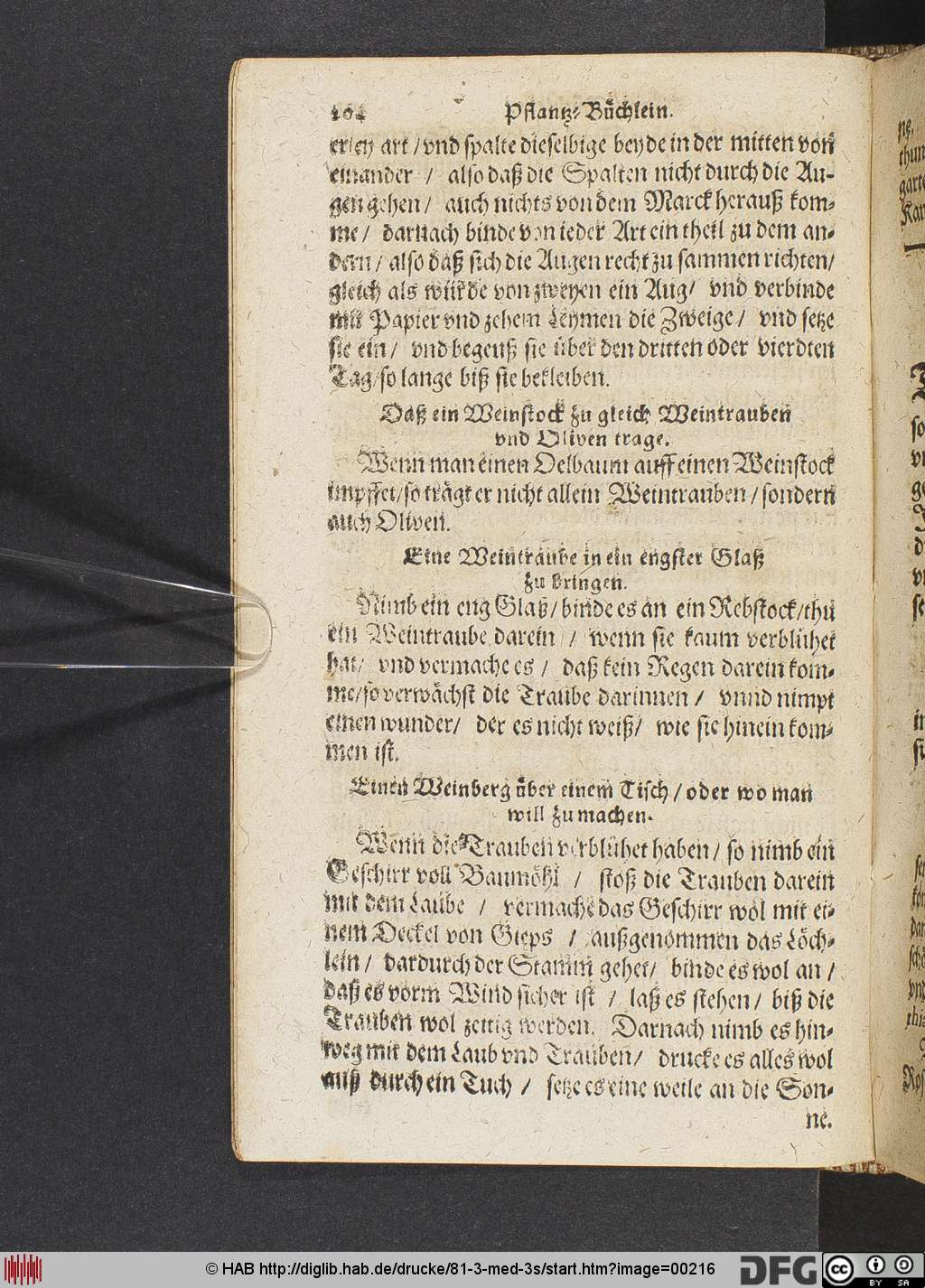 http://diglib.hab.de/drucke/81-3-med-3s/00216.jpg