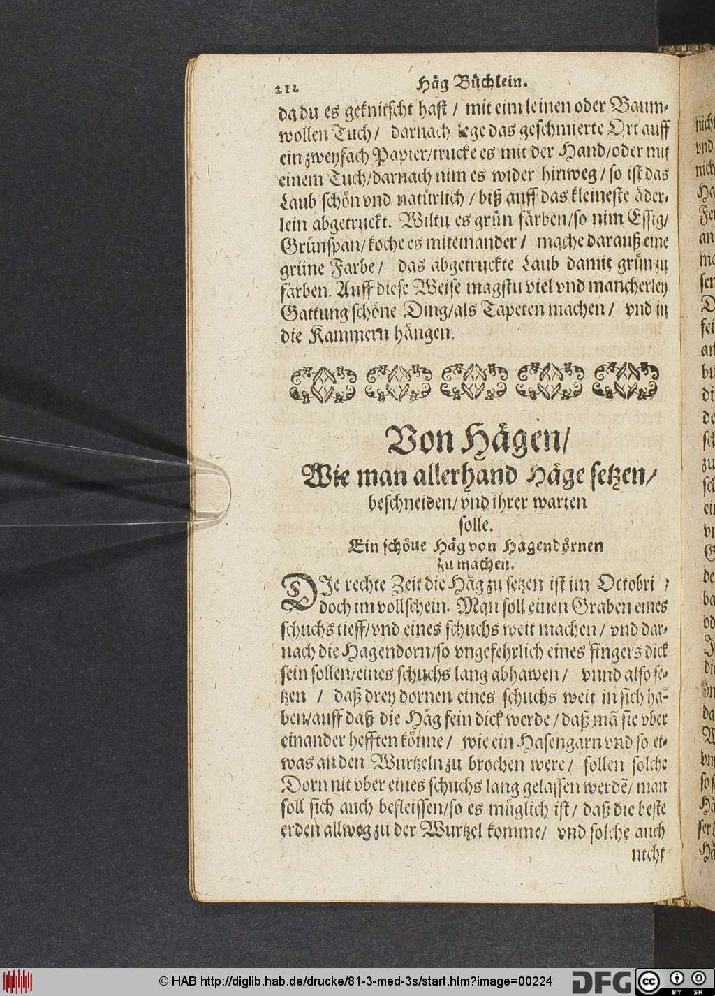 http://diglib.hab.de/drucke/81-3-med-3s/00224.jpg