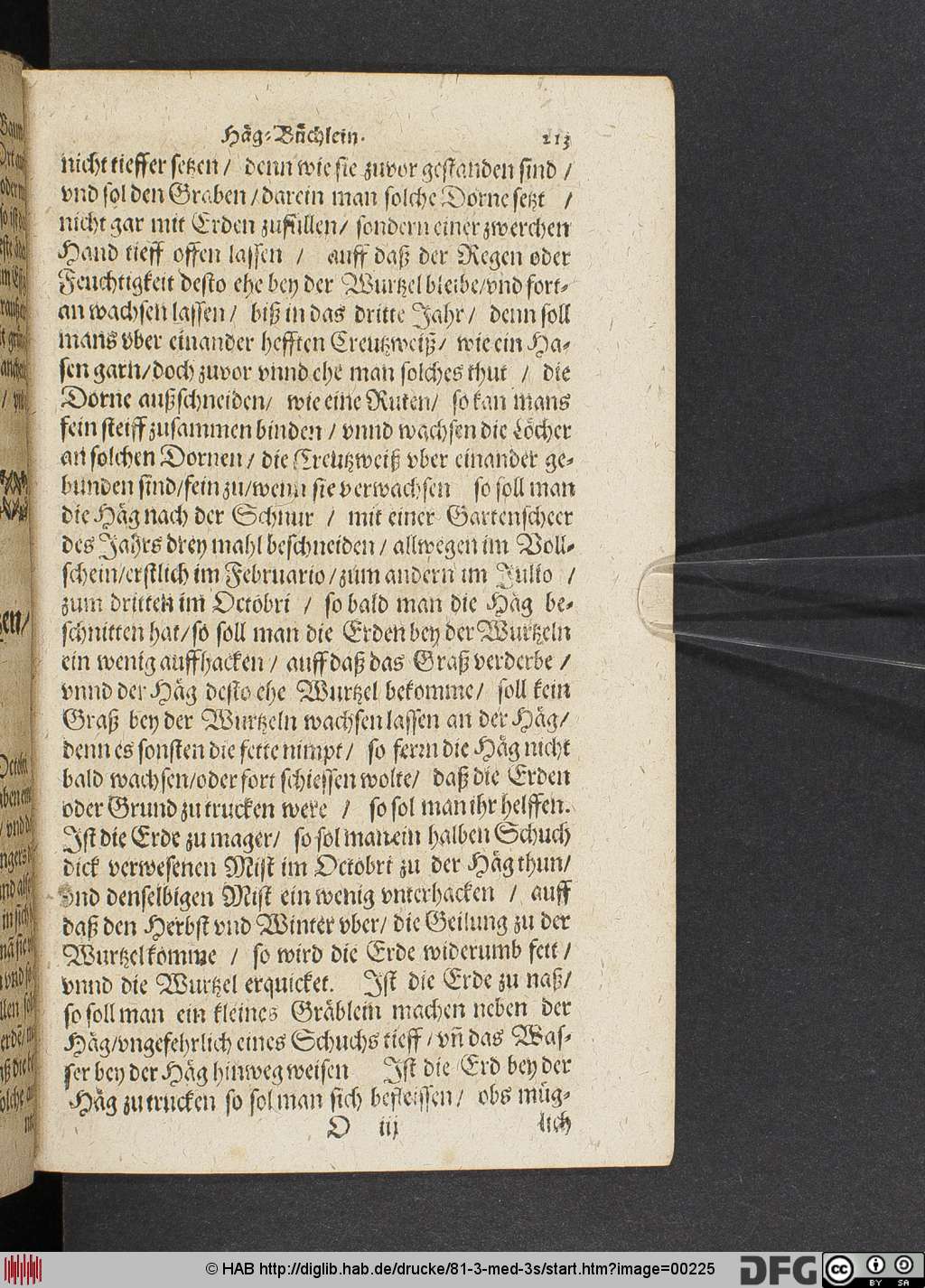 http://diglib.hab.de/drucke/81-3-med-3s/00225.jpg