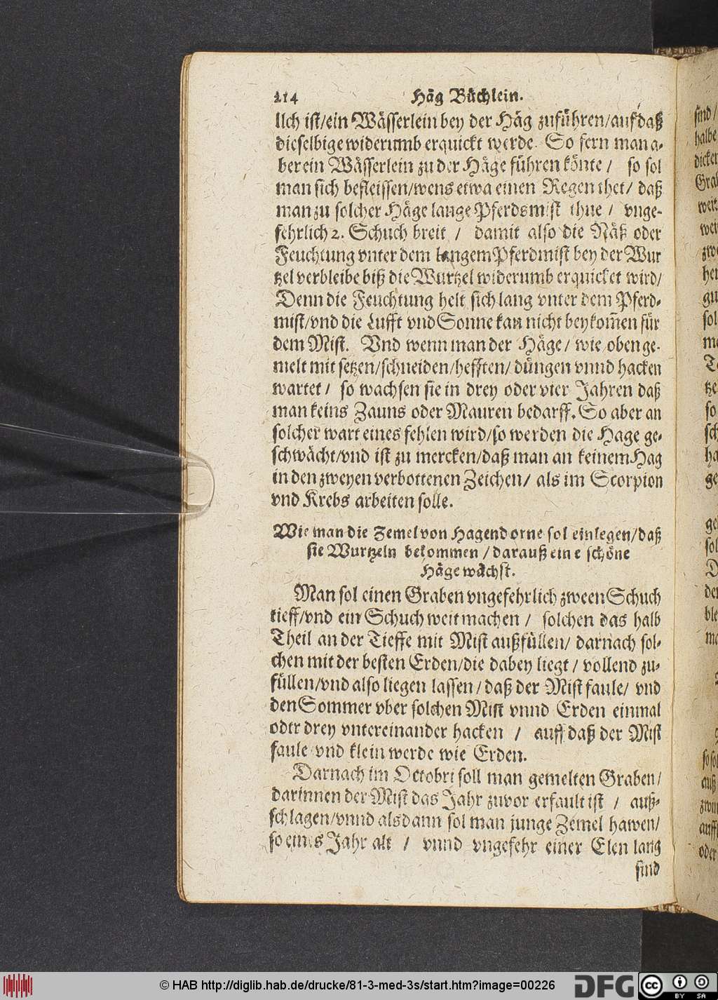 http://diglib.hab.de/drucke/81-3-med-3s/00226.jpg
