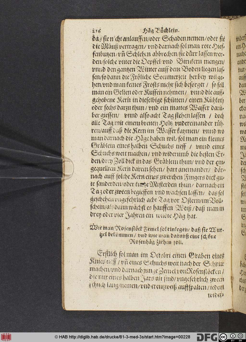 http://diglib.hab.de/drucke/81-3-med-3s/00228.jpg
