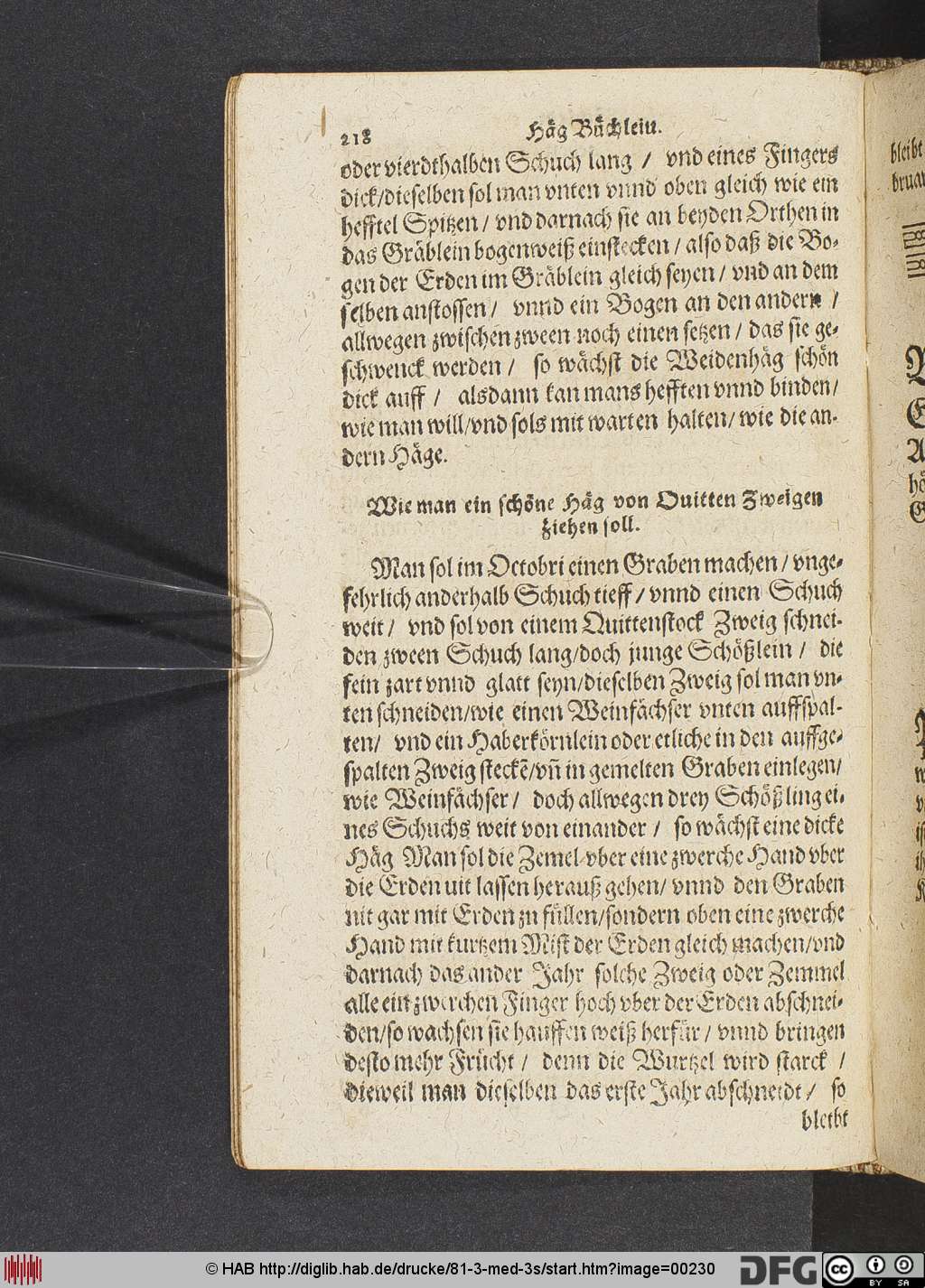 http://diglib.hab.de/drucke/81-3-med-3s/00230.jpg