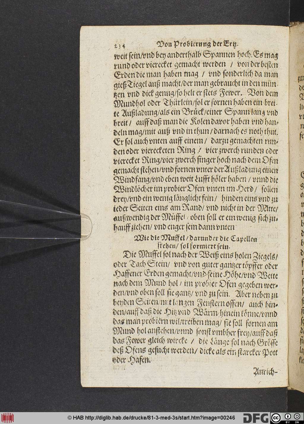 http://diglib.hab.de/drucke/81-3-med-3s/00246.jpg