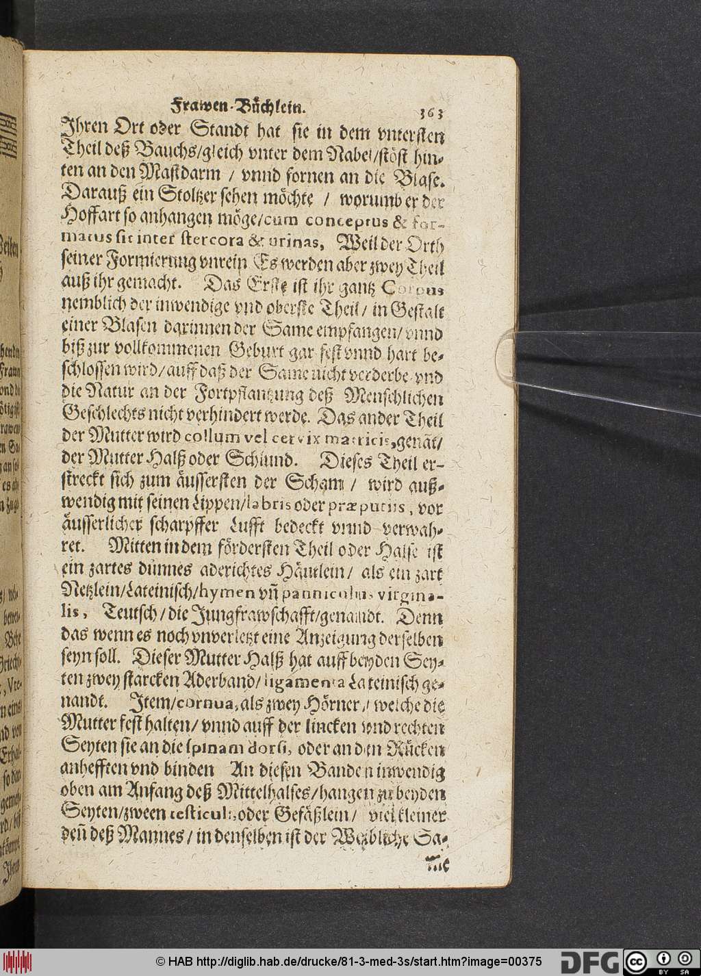 http://diglib.hab.de/drucke/81-3-med-3s/00375.jpg