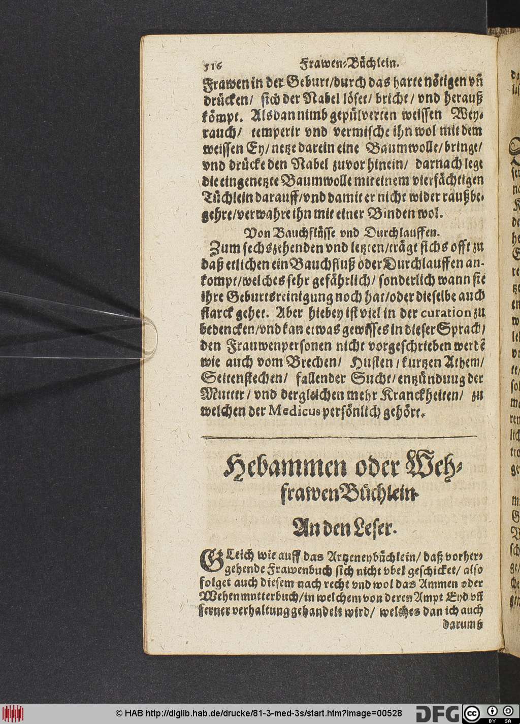 http://diglib.hab.de/drucke/81-3-med-3s/00528.jpg