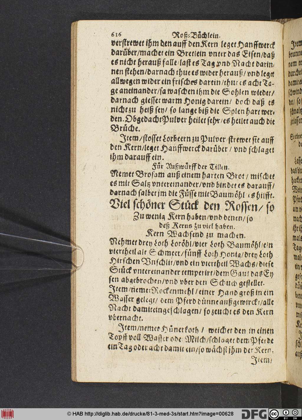 http://diglib.hab.de/drucke/81-3-med-3s/00628.jpg