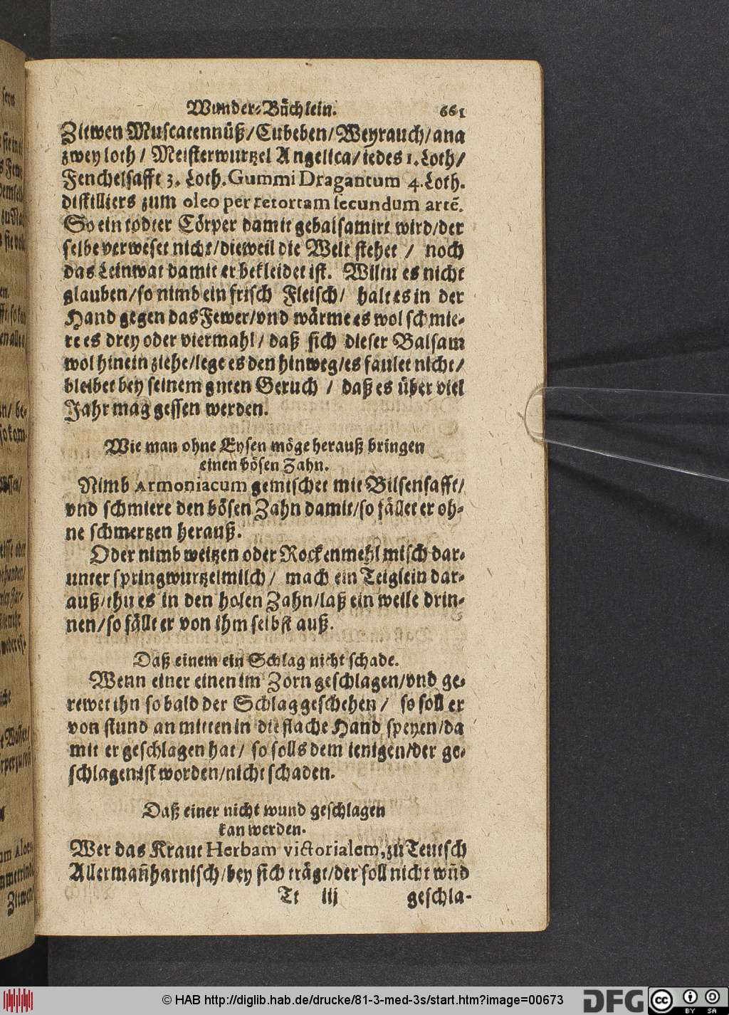 http://diglib.hab.de/drucke/81-3-med-3s/00673.jpg