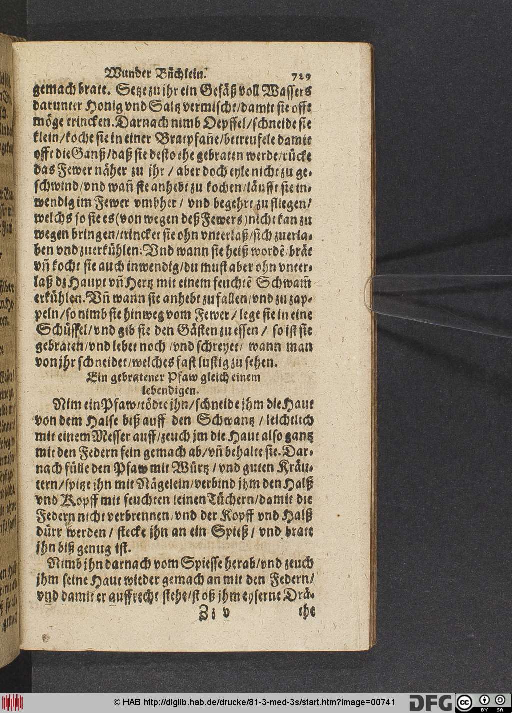 http://diglib.hab.de/drucke/81-3-med-3s/00741.jpg