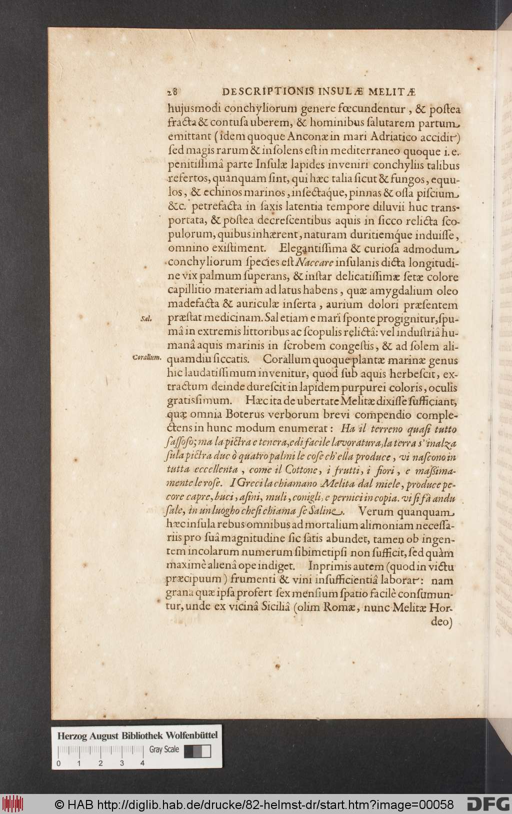 http://diglib.hab.de/drucke/82-helmst-dr/00058.jpg