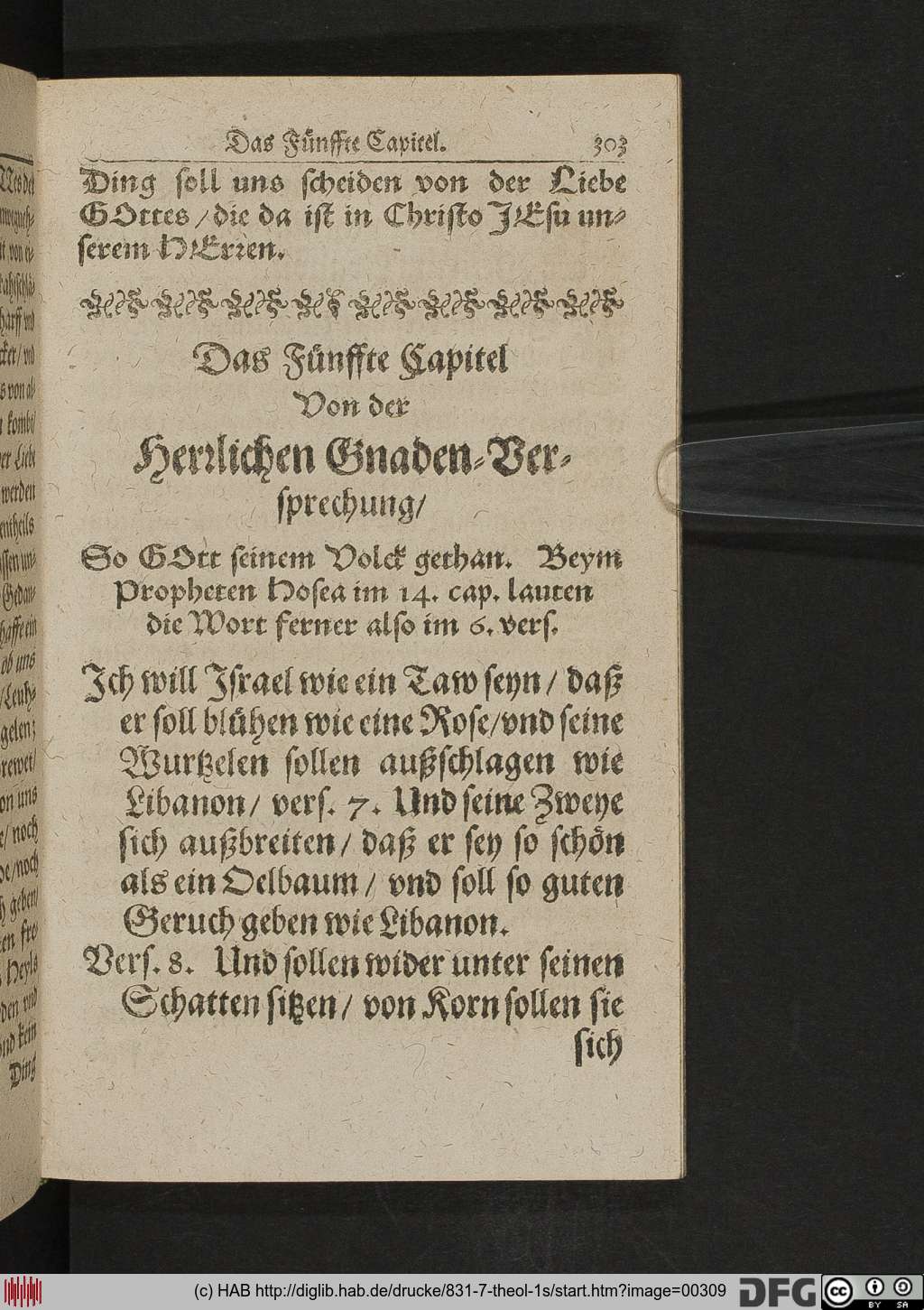 http://diglib.hab.de/drucke/831-7-theol-1s/00309.jpg