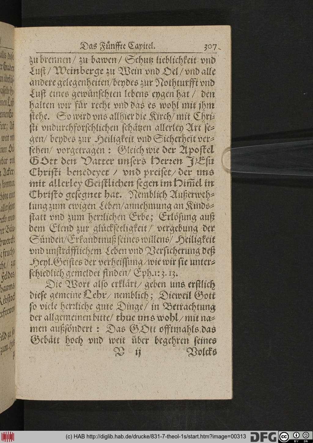 http://diglib.hab.de/drucke/831-7-theol-1s/00313.jpg
